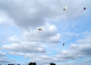 Kites Over Callingwood