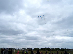 Kites Over Callingwood